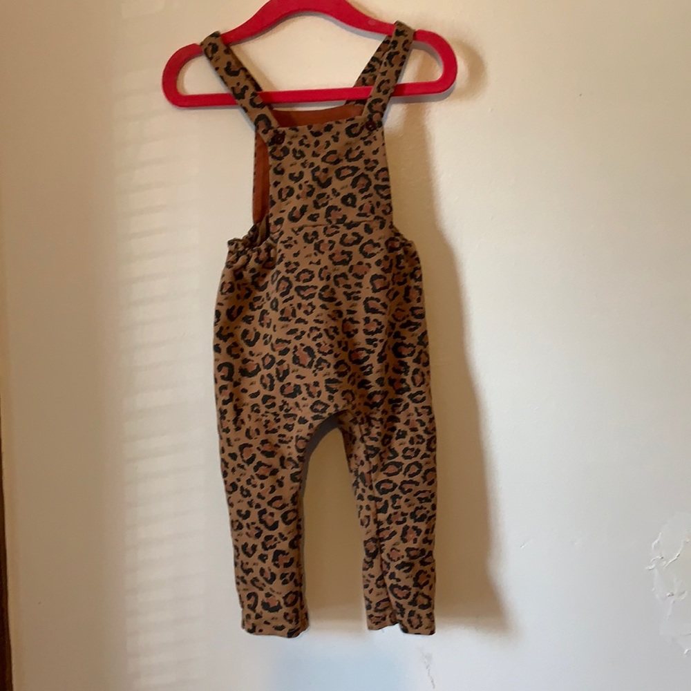 Freshly Picked cheetah Baby overall 12 months